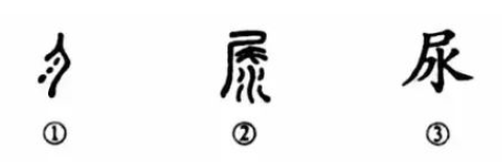 细说汉字“尿”，尿字的本义、尿字演变及起源