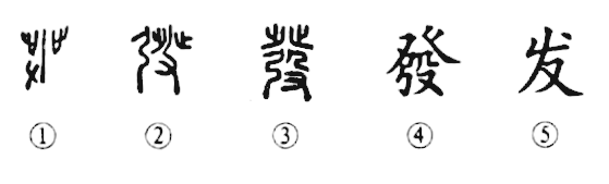 细说汉字“发”，发字的本义、发字演变及起源