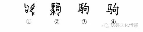 细说汉字“驹”，驹字的本义、驹字演变及起源